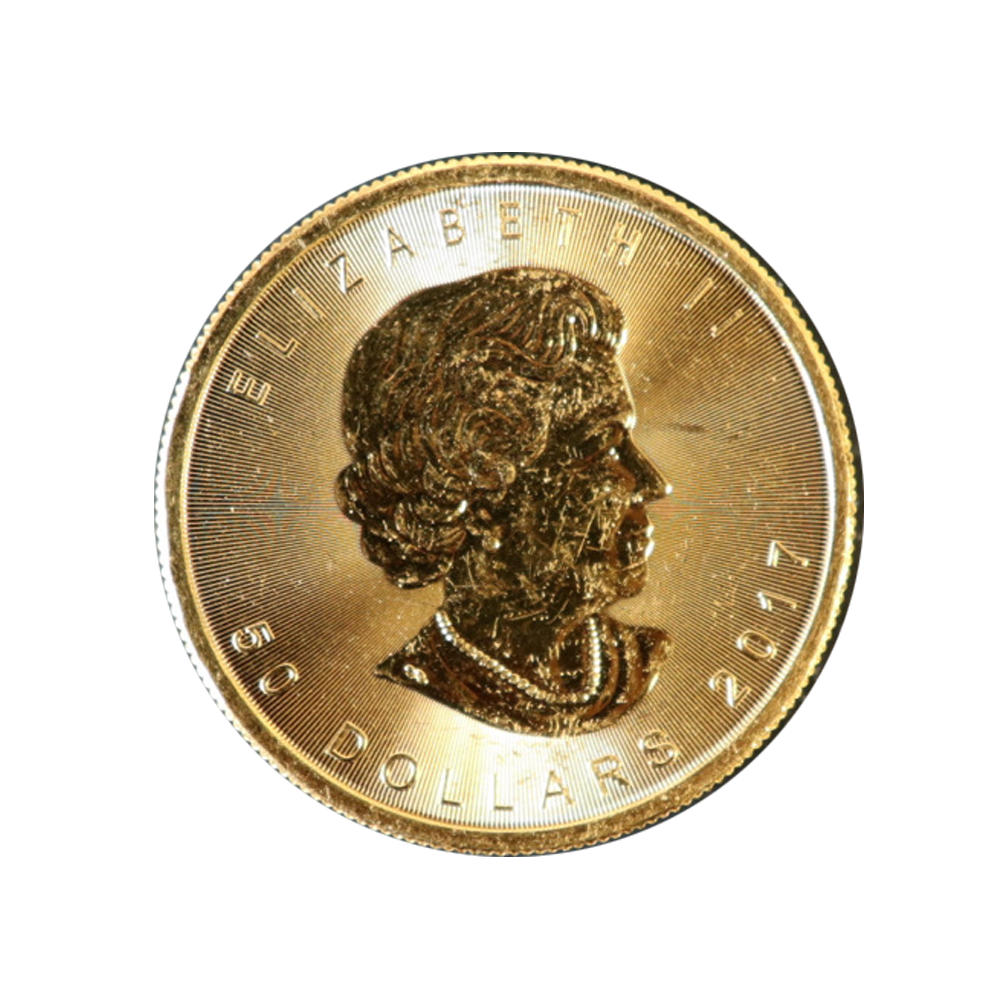 트레이드 아크(TRADE ARK)