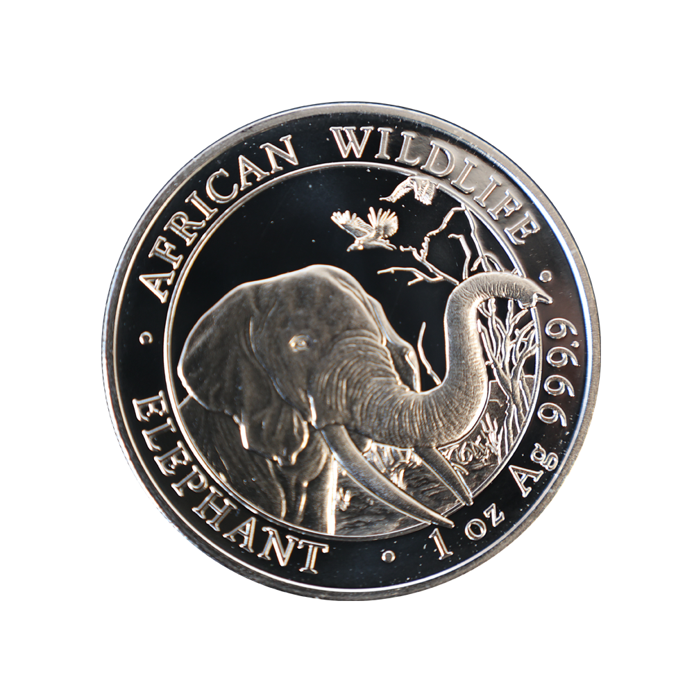 트레이드 아크(TRADE ARK)